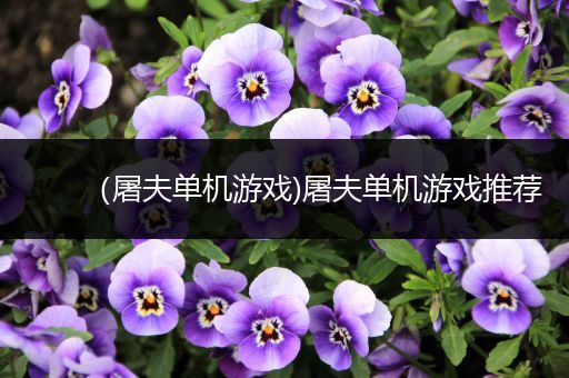 （屠夫单机游戏)屠夫单机游戏推荐