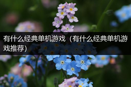 有什么经典单机游戏（有什么经典单机游戏推荐）