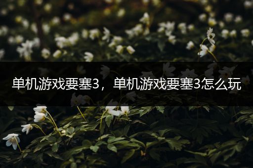 单机游戏要塞3，单机游戏要塞3怎么玩