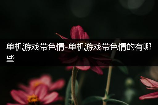 单机游戏带色情-单机游戏带色情的有哪些