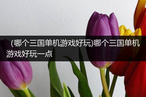 （哪个三国单机游戏好玩)哪个三国单机游戏好玩一点