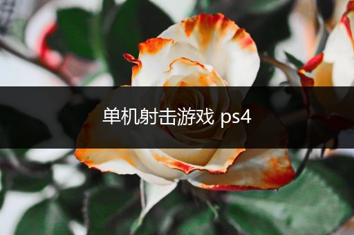 单机射击游戏 ps4