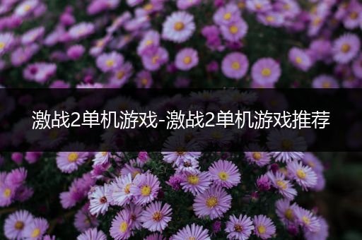 激战2单机游戏-激战2单机游戏推荐
