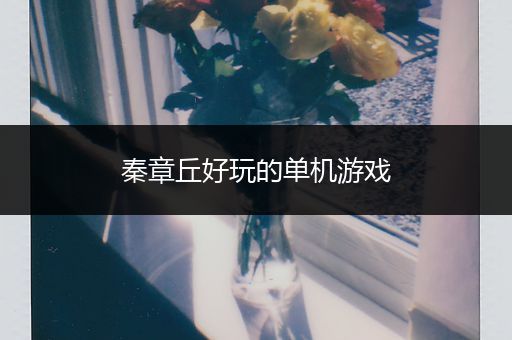 秦章丘好玩的单机游戏