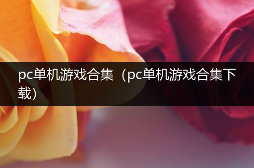 pc单机游戏合集（pc单机游戏合集下载）