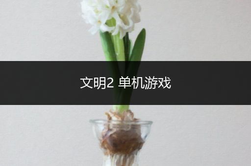 文明2 单机游戏