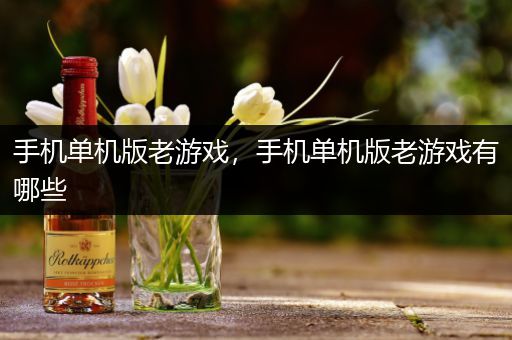 手机单机版老游戏，手机单机版老游戏有哪些