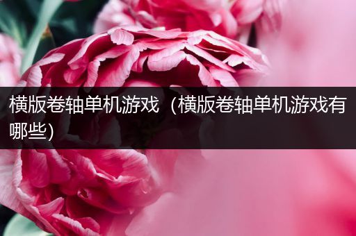 横版卷轴单机游戏（横版卷轴单机游戏有哪些）