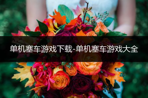 单机塞车游戏下载-单机塞车游戏大全