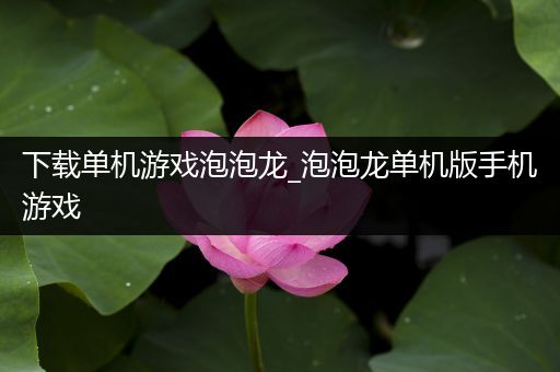 下载单机游戏泡泡龙_泡泡龙单机版手机游戏