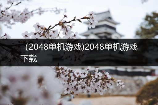 （2048单机游戏)2048单机游戏下载