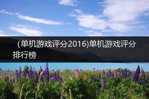 （单机游戏评分2016)单机游戏评分排行榜