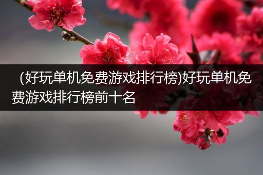 （好玩单机免费游戏排行榜)好玩单机免费游戏排行榜前十名