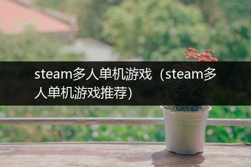 steam多人单机游戏（steam多人单机游戏推荐）