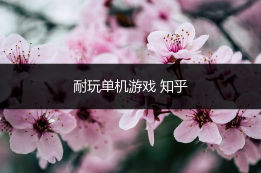 耐玩单机游戏 知乎