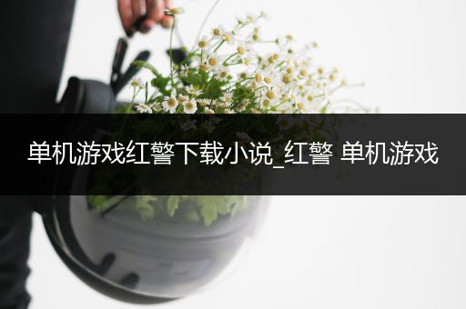 单机游戏红警下载小说_红警 单机游戏