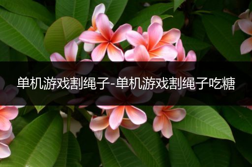 单机游戏割绳子-单机游戏割绳子吃糖