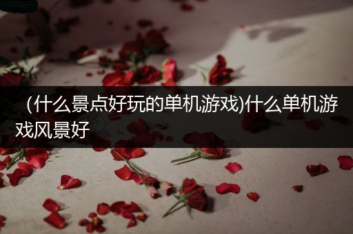 （什么景点好玩的单机游戏)什么单机游戏风景好