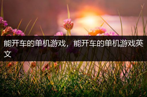 能开车的单机游戏，能开车的单机游戏英文