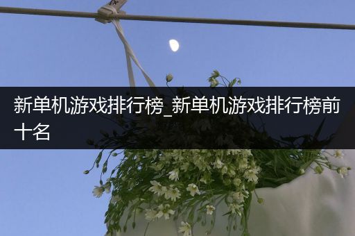 新单机游戏排行榜_新单机游戏排行榜前十名