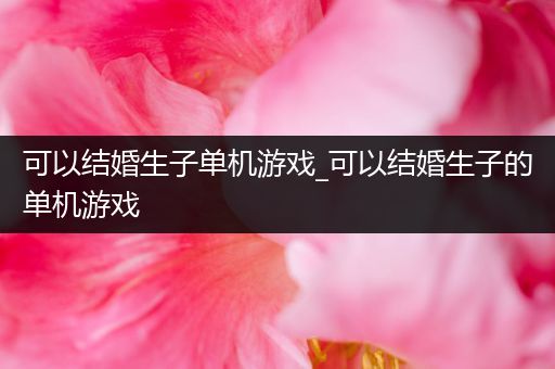 可以结婚生子单机游戏_可以结婚生子的单机游戏