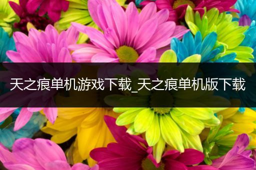 天之痕单机游戏下载_天之痕单机版下载