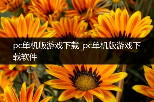 pc单机版游戏下载_pc单机版游戏下载软件