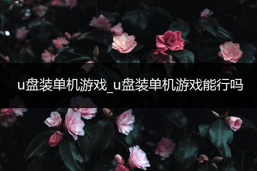 u盘装单机游戏_u盘装单机游戏能行吗