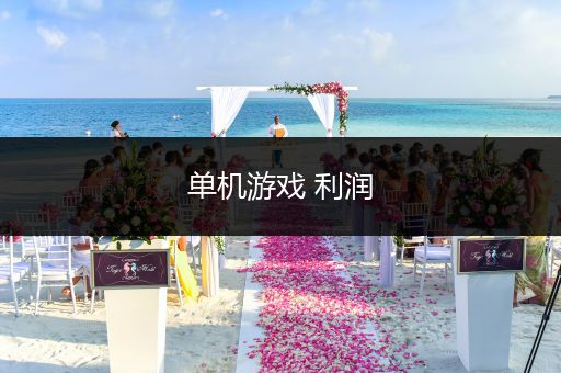 单机游戏 利润