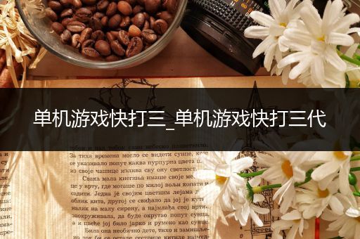 单机游戏快打三_单机游戏快打三代