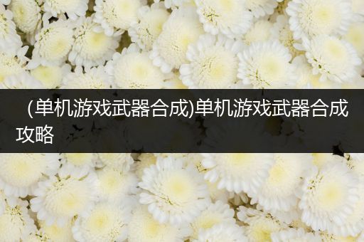（单机游戏武器合成)单机游戏武器合成攻略