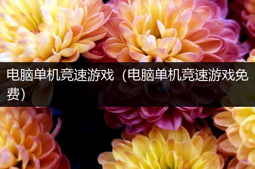 电脑单机竞速游戏（电脑单机竞速游戏免费）