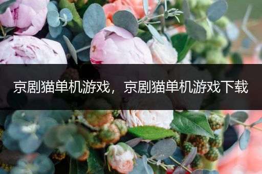 京剧猫单机游戏，京剧猫单机游戏下载