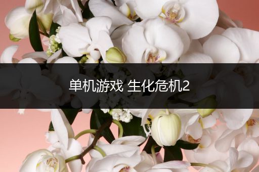 单机游戏 生化危机2