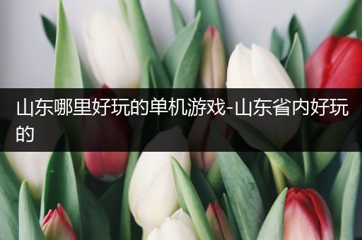 山东哪里好玩的单机游戏-山东省内好玩的