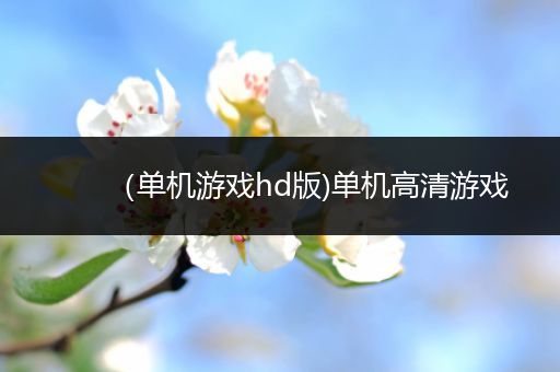 （单机游戏hd版)单机高清游戏