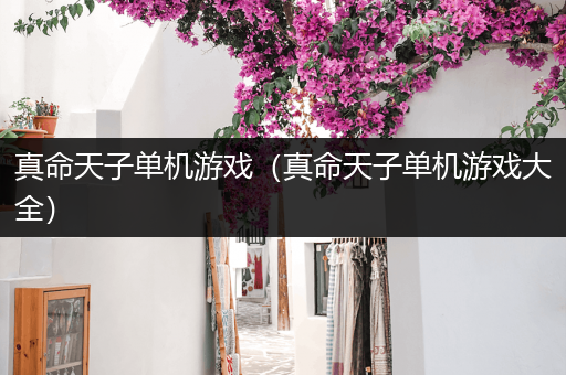 真命天子单机游戏（真命天子单机游戏大全）