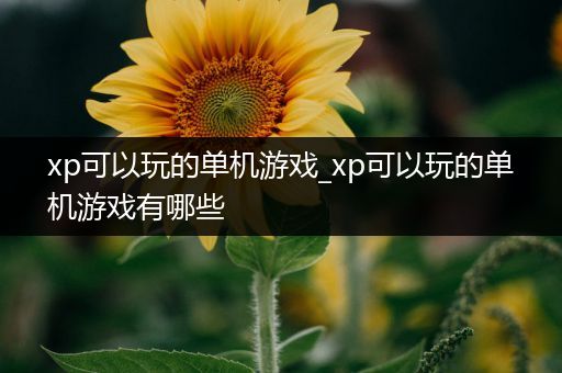 xp可以玩的单机游戏_xp可以玩的单机游戏有哪些