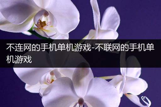 不连网的手机单机游戏-不联网的手机单机游戏