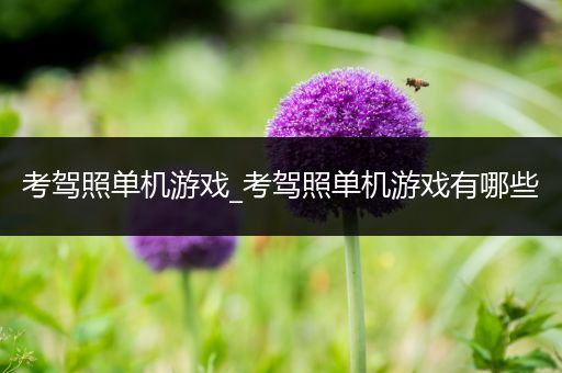 考驾照单机游戏_考驾照单机游戏有哪些