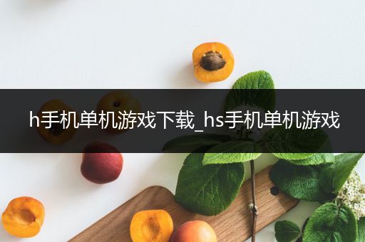 h手机单机游戏下载_hs手机单机游戏