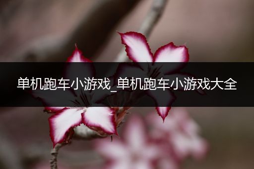 单机跑车小游戏_单机跑车小游戏大全