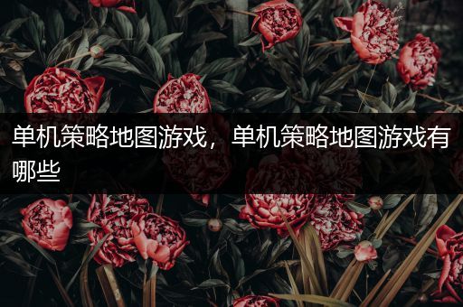 单机策略地图游戏，单机策略地图游戏有哪些