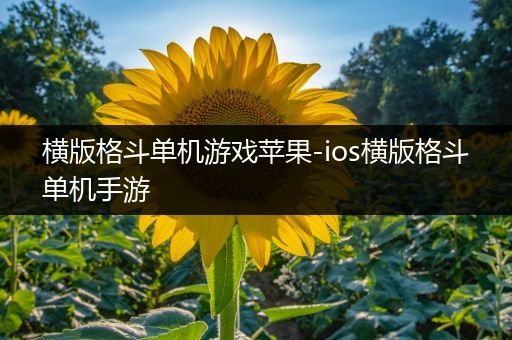 横版格斗单机游戏苹果-ios横版格斗单机手游