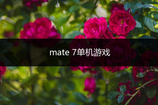 mate 7单机游戏