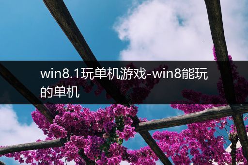 win8.1玩单机游戏-win8能玩的单机