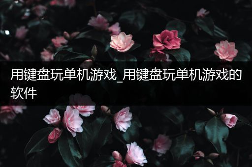 用键盘玩单机游戏_用键盘玩单机游戏的软件