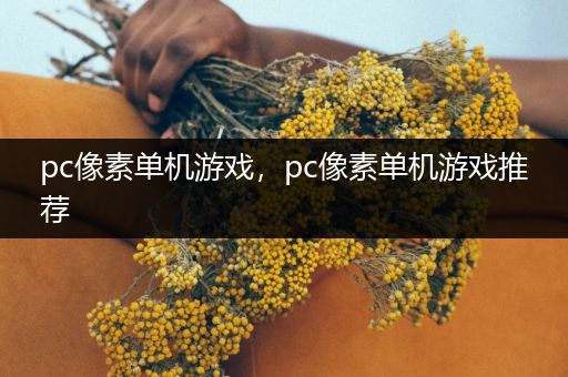 pc像素单机游戏，pc像素单机游戏推荐