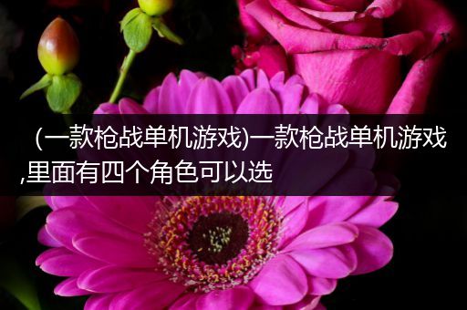 （一款枪战单机游戏)一款枪战单机游戏,里面有四个角色可以选