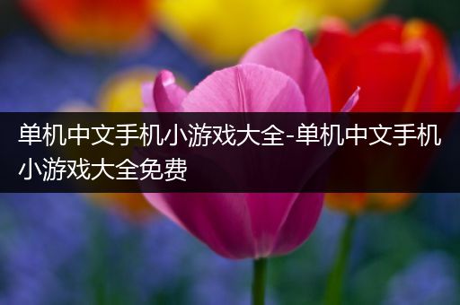 单机中文手机小游戏大全-单机中文手机小游戏大全免费
